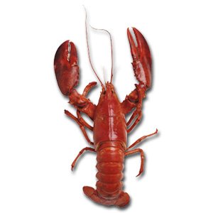 CAJUN RECIPES EBOOK, SOUTHERN COOKING, GUMBO CREOLE