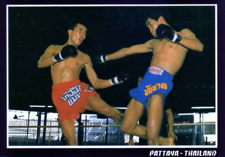 Muay Thai (Thai Boxing) Postcard