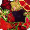COLEUS**Fairway-Mix*****250 SEED!