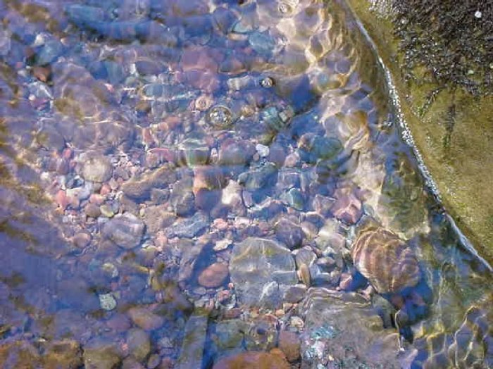 TRANQUIL ROCKS IN STREAM**8"X10"