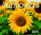 SUNFLOWERS DELUXE 2007 WALL CALENDAR