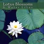 LOTUS BLOSSUMS AND WATER LILIES 2007 WALL CALENDAR