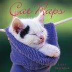 CAT NAPS 2007 MINI WALL CALENDAR