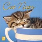 CAT NAPS 2007 WALL CALENDAR