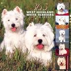 365 DAYS OF WEST HIGHLAND WHITE TERRIERS 2007 WALL CALENDAR