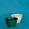 NATIONAL HANGING BASKETS-12 INCH