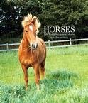 HORSES 2007 HARDCOVER ENGAGEMENT CALENDAR-FREE SHIPPING!