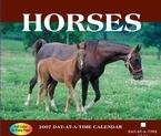 HORSES 2007 DESK CALENDAR