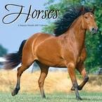 HORSES 2007 WALL CALENDAR