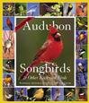 365 AUDUBON SONGBIRDS A YEAR 2007 WALL CALENDAR-FREE SHIPPING!