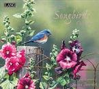 SONGBIRDS 2007 WALL CALENDAR