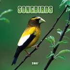 SONGBIRDS 2007 MINI WALL CALENDAR