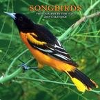 SONGBIRDS 2007 WALL CALENDAR