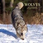 WOLVES 2007 WALL CALENDAR