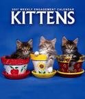 KITTEN 2007 HARDCOVER ENGAGEMENT CALENDAR
