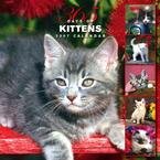 365 DAYS OF KITTENS 2007 WALL CALENDAR