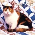 CALICO CATS 2007 WALL CALENDAR