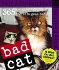 BAD CAT PAGE A DAY 2007 DESK CALENDAR