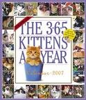 365 KITTENS A YEAR 2007 WALL CALENDAR