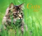 CATS 2007 DELUXE WALL CALENDAR