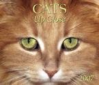 CATS UP CLOSE 2007 DELUXE WALL CALENDAR
