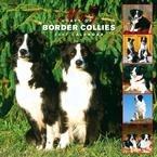 365 DAYS OF BORDER COLLIES 2007 WALL CALENDAR