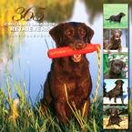 365 DAYS OF CHOCOLATE LABRADOR RETRIEVERS 2007 WALL CALENDAR