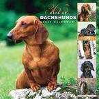 365 DAYS OF DACHSHUNDS 2007 WALL CALENDAR
