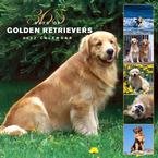 365 DAYS OF GOLDEN RETRIEVERS 2007 WALL CALENDAR