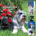 365 DAYS OF SCHNAUZERS 2007 WALL CALENDAR