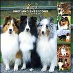 365 DAYS OF SHETLAND SHEEPDOGS 2007 WALL CALENDAR