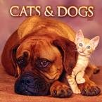 CATS & DOGS 2007 WALL CALENDAR