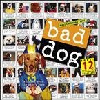 BAD DOG 2007 WALL CALENDAR-ORDER 2 OF THIS ITEM FOR FREE SHIPPING!