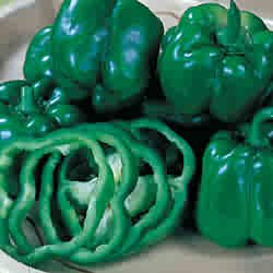 PEPPER-CALIFORNIA WONDER*****1,250 SEEDS!