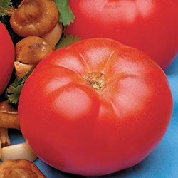 TOMATO-BEEFMASTER****125 SEED!