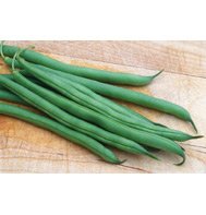 GREEN BEAN-FOREMOST***500 SEED!
