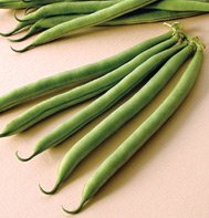 GREEN BEAN-E-Z PICK****500 SEED