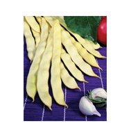 POLE BEAN-MARVEL OF VENICE*HEIRLOOM*****150 SEED!