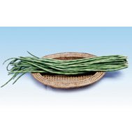 POLE BEAN-GITA****500 SEED!