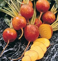 BEET-GOLDEN BEET (NON-ORGANIC)****180 SEED!