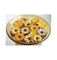 CALENDULA* FLASHBACK MIX*ORGANIC!*******500 SEED!