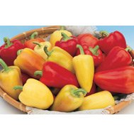 PEPPER-SWEET*ANTOHI ROMANIAN***HEIRLOOM*****250 SEEDS!