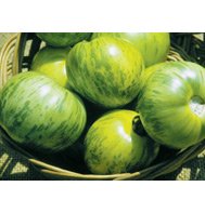 TOMATO*GREEN ZEBRA****ORGANIC & HEIRLOOM!***500 SEED!
