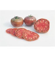 TOMATO*CHEROKEE PURPLE********HEIRLOOM!**500 SEED!
