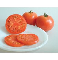 TOMATO*EVA PURPLE BALL****ORGANIC & HEIRLOOM***500 SEEDS!