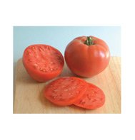 TOMATO*ROSE***ORGANIC & HEIRLOOM***500 SEEDS