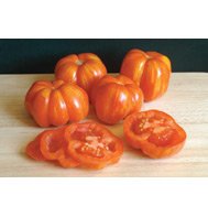 TOMATO*STRIPED CAVERN****ORGANIC & HEIRLOOM***500 SEED!