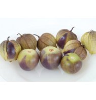 TOMATILLO*DE MILPA***ORGANIC & HEIRLOOM***50 SEEDS!