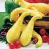 YELLOW CROOKNECK SQUASH*****25 SEED