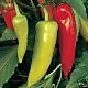 PEPPER**SUPER CHILI***********************50 SEED